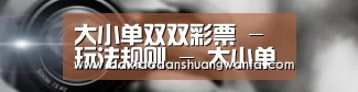 公司动态