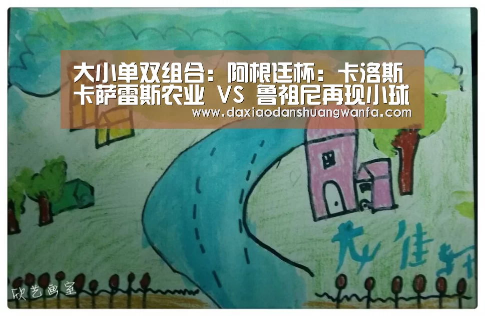 大小单双组合