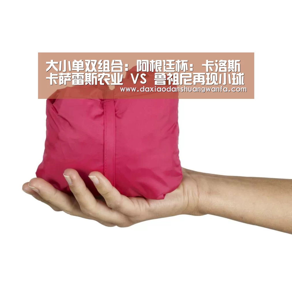 大小单双组合