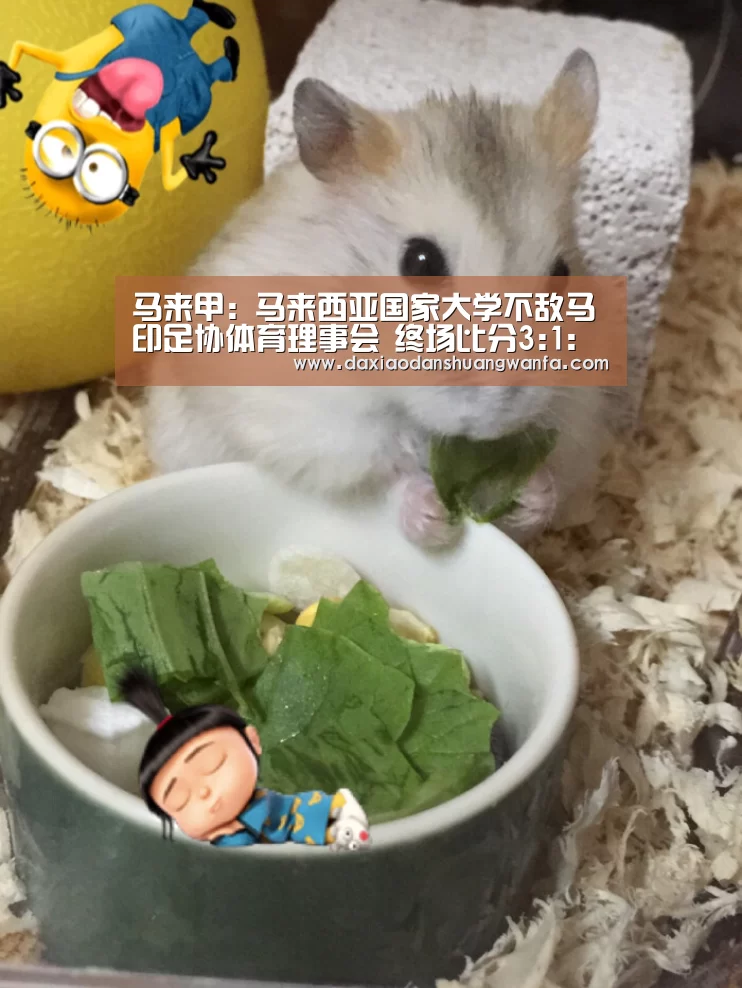马来甲: 马来西亚国家大学不敌马印足协体育理事会 终场比分3:1:大小单双投注(图2) 大小单双投注