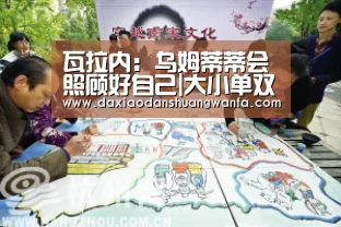 大小单双投注