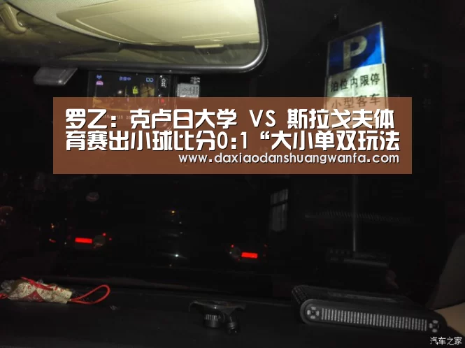 大小单双投注