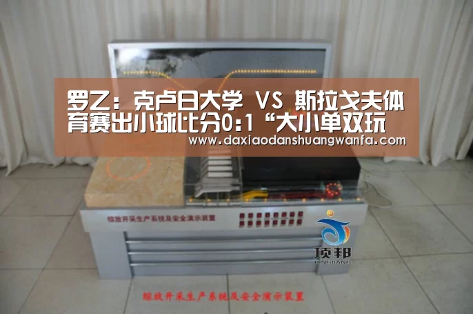 大小单双投注