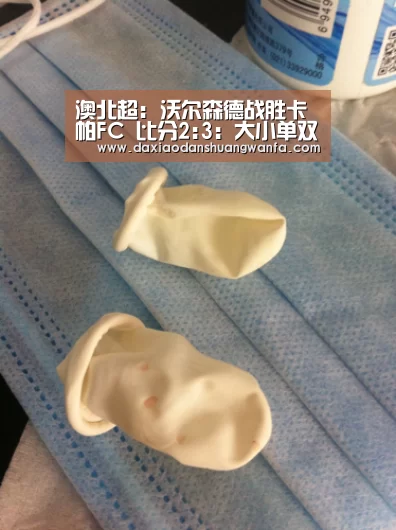 大小单双