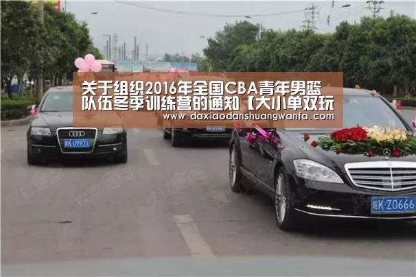 大小单双