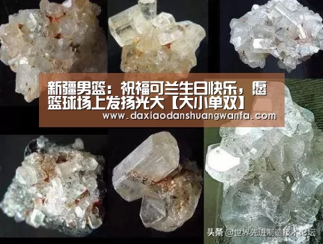 新疆男篮:祝福可兰生日快乐,愿篮球场上发扬光大【大小单双】(图2) 大小单双