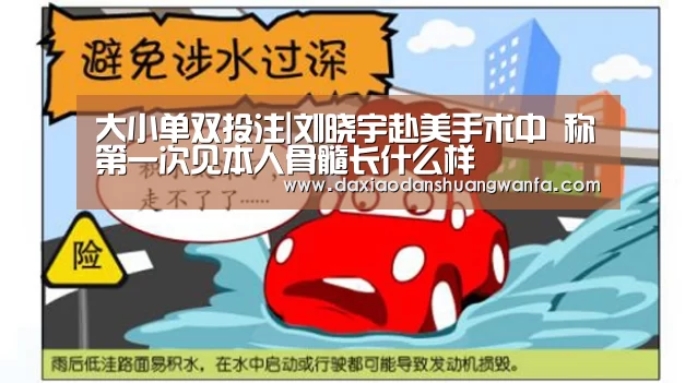 大小单双投注