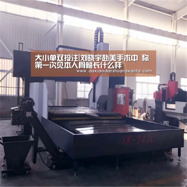 大小单双组合