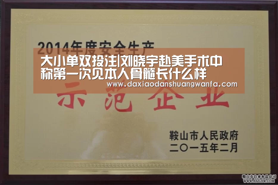 大小单双组合