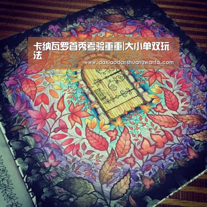 大小单双组合