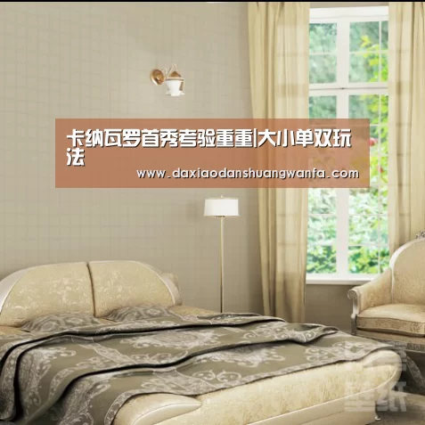 大小单双玩法