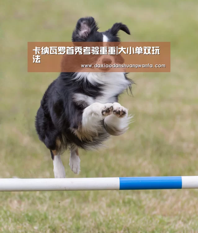 大小单双